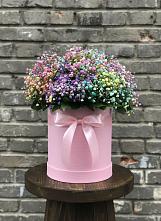 Цветочная композиция из Гипсофила и Розы в шляпной коробке в Двубратском