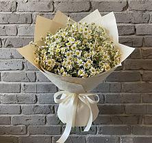 Букет цветов из:  Ромашки в Двубратском