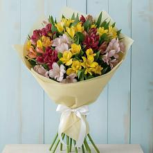 Букет цветов из:  Альстромерии в Двубратском