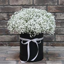 Цветочная композиция из Гипсофила в шляпной коробке в Двубратском